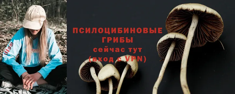 Псилоцибиновые грибы Magic Shrooms  Ирбит 